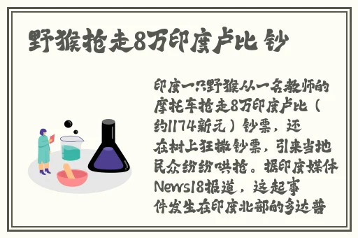 濑亚美莉 全集